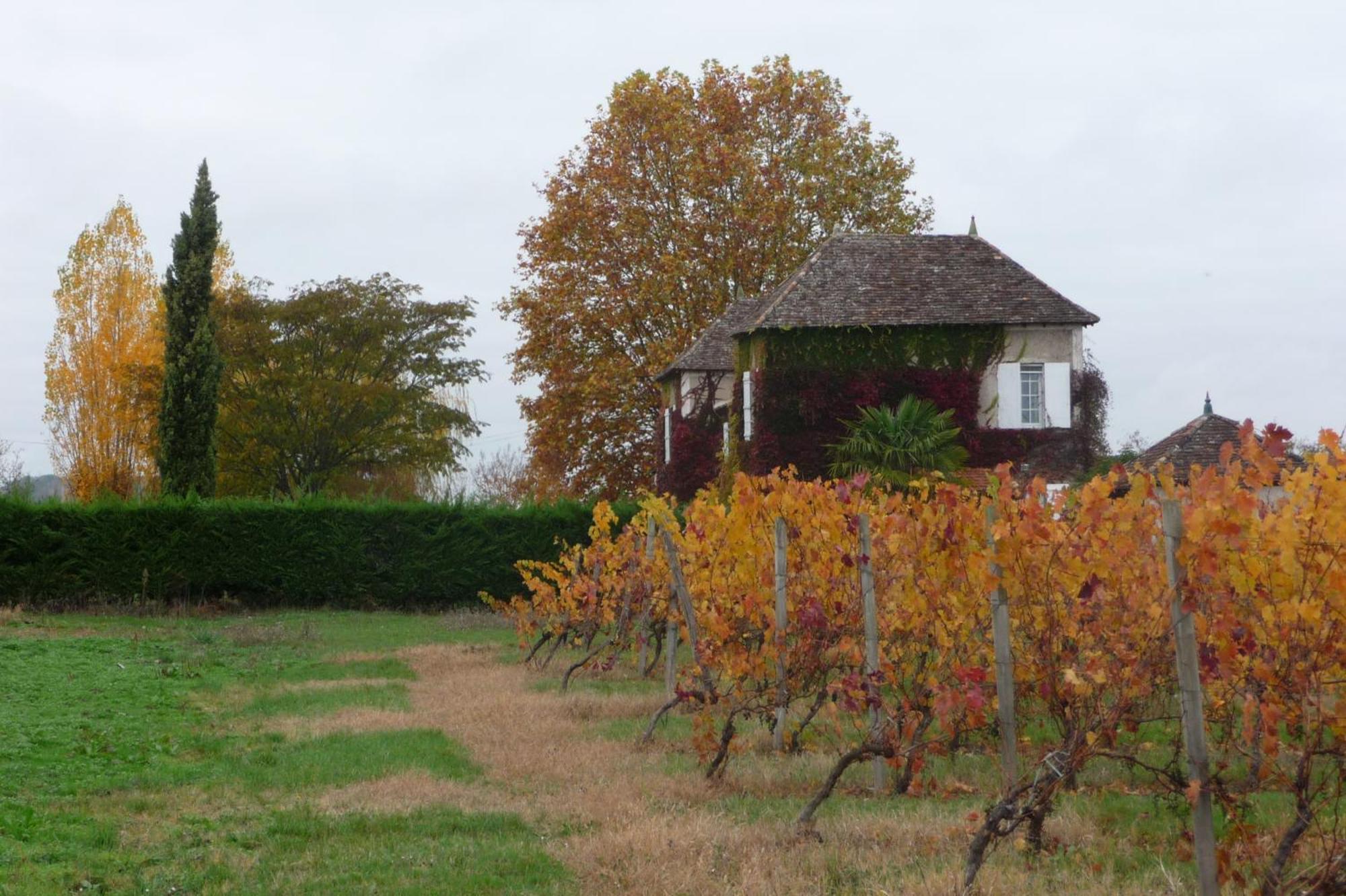 לינה וארוחת בוקר Saussignac Domaine De La Queyssie מראה חיצוני תמונה